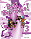BIG SURPRISE 3: ACTIVITY BOOK + MULTI-ROM PACK