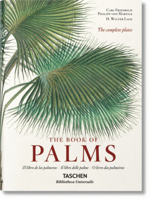 MARTIUS - EL LIBRO DE LAS PALMERAS