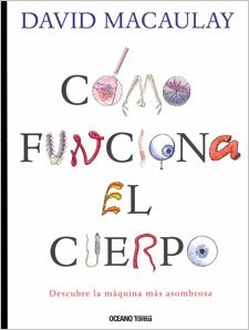 C�MO FUNCIONA EL CUERPO