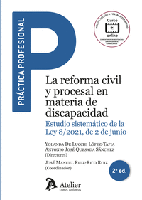 LA REFORMA CIVIL Y PROCESAL EN MATERIA DISCAPACIDAD 2�ED