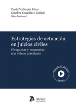 ESTRATEGIAS DE ACTUACI�N EN JUICIOS CIVILES. (PREGUNTAS Y RESPUESTAS CON V�DEOS