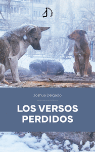 LOS VERSOS PERDIDOS