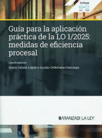 GUIA APL.PRACTICA LO 1/2025, MEDIDAS EFICIENCIA PROCESAL