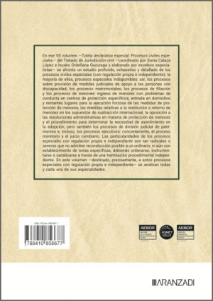 TUTELA DECLARATIVA ESPECIAL: PROCESOS CIVILES ESPECIALES