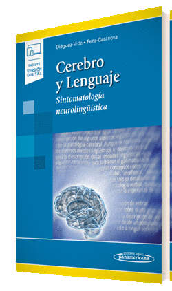 CEREBRO Y LENGUAJE