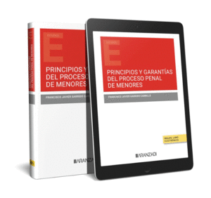 PRINCIPIOS Y GARANTAS DEL PROCESO PENAL DE MENORES (PAPEL + E-BOOK)