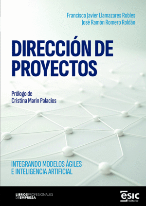 DIRECCI�N DE PROYECTOS