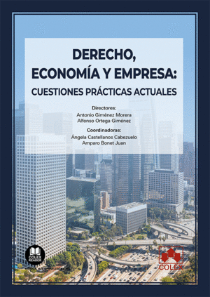 DERECHO, ECONOMIA Y EMPRESA: CUESTIONES PRACTICAS ACTUALES