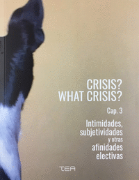 CRISIS? WHAT CRISIS? CAP. 3 INTIMIDADES, SUBJETIVIDADES Y