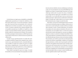 EL �RBOL DE LA MEDITACI�N