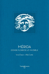 MRIDA