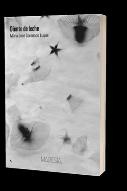 DIENTE DE LECHE