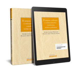 EL AMPARO ORDINARIO Y EXTRAORDINARIO: CUESTIONES TE�RICO-PR�CTICAS (PAPEL + E-BO