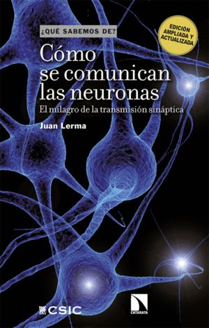 CMO SE COMUNICAN LAS NEURONAS