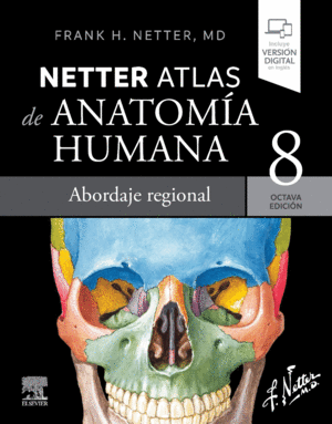 NETTER. ATLAS DE ANATOMA HUMANA. ABORDAJE REGIONAL