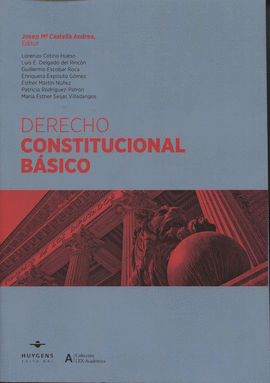 DERECHO CONSTITUCIONAL BASICO