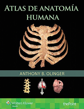 ATLAS DE ANATOM�A HUMANA