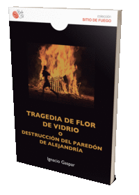 TRAGEDIA DE FLOR DE VIDRIO