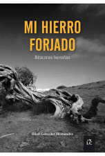 MI HIERRO FORJADO