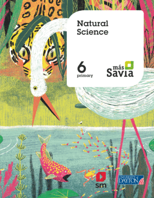 NATURAL SCIENCE 6�PRIMARIA. M�S SAVIA. NATURALES EN INGL�S 2019