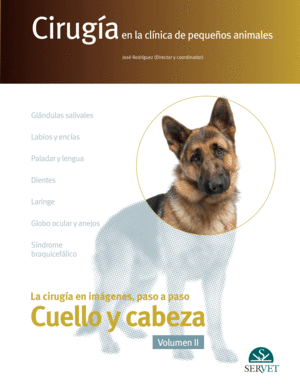 CIRUGA EN LA CLNICA DE PEQUEOS ANIMALES. CABEZA Y CUELLO. VOLUMEN II