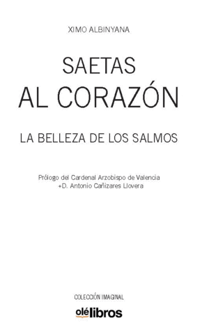 SAETAS AL CORAZN