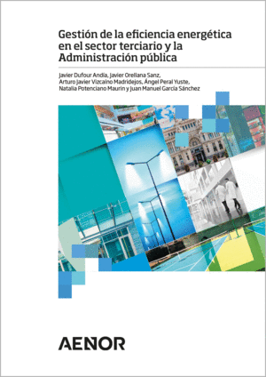 GESTIN DE LA EFICIENCIA ENERGTICA EN EL SECTOR TERCIARIO Y LA ADMINISTRACIN P