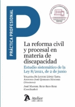 LA REFORMA CIVIL Y PROCESAL EN MATERIA DE DISCAPACIDAD