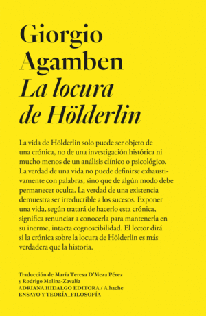 LA LOCURA DE HLDERLIN