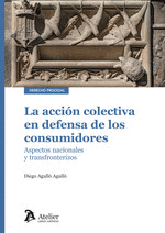 LA ACCION COLECTIVA EN DEFENSA DE LOS CONSUMIDORES ASPECTOS NACIONALES
