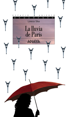 LA LLUVIA DE PARIS