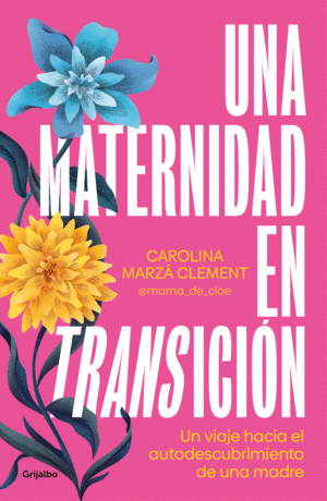 MATERNIDAD EN TRANSICION, UNA