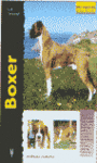 BOXER (EXCELLENCE)