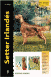 SETTER IRLANDES -EXCELLENCE