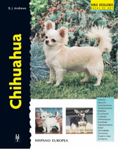 CHIHUAHUA -EXCELLENCE