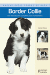 BORDER COLLIE ***