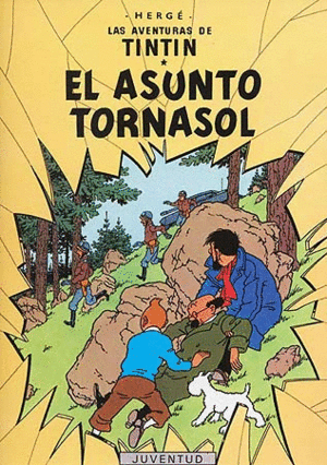 ASUNTO TORNASOL, EL