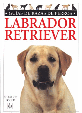 LABRADOR RETRIEVER.GUIAS RAZAS DE PERROS