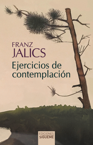 EJERCICIOS DE CONTEMPLACIN