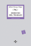 DERECHO DEL TRABAJO 28� ED 2007