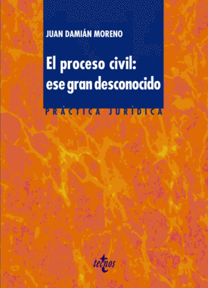 PROCESO CIVIL. GRAN DESCONOCIDO