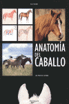 ANATOMIA DEL CABALLO