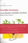 A SUS PLANTAS RENDIDO UN LEON