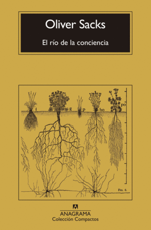 EL RO DE LA CONCIENCIA