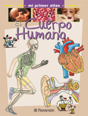 CUERPO HUMANO, EL