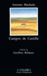 CAMPOS DE CASTILLA LH 10