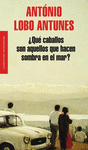 �QU� CABALLOS SON AQUELLOS QUE HACEN SOMBRA EN EL MAR?
