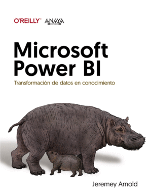 MICROSOFT POWER BI. TRANSFORMACI�N DE DATOS EN CONOCIMIENTO