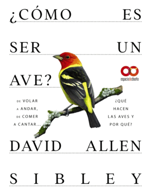 �C�MO ES SER UN AVE? DE VOLAR A ANIDAR, DE COMER A CANTAR... �QU� HACEN LAS AVES