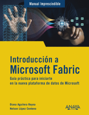 INTR.A MICROSOFT FABRIC